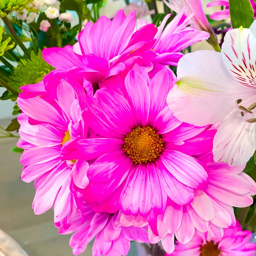 Meet your Posher, Kiki